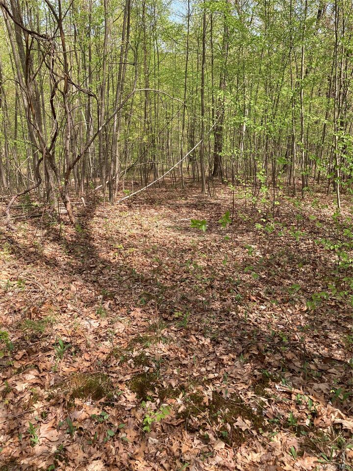 Property Photo:  Canterbury Drive  NY 12550 