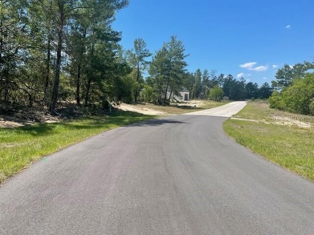 Property Photo:  1342 Homosassa Drive  FL 34759 