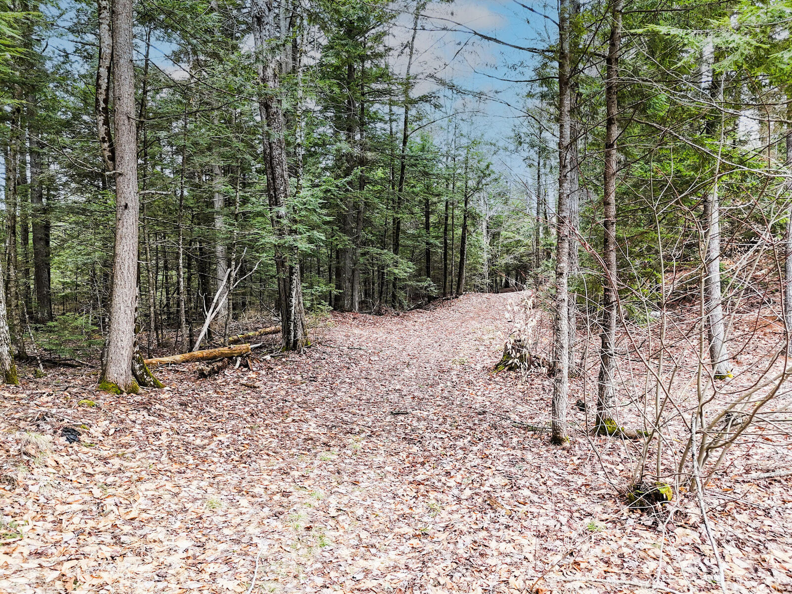 Property Photo: 55 Salmon Road ME 04950