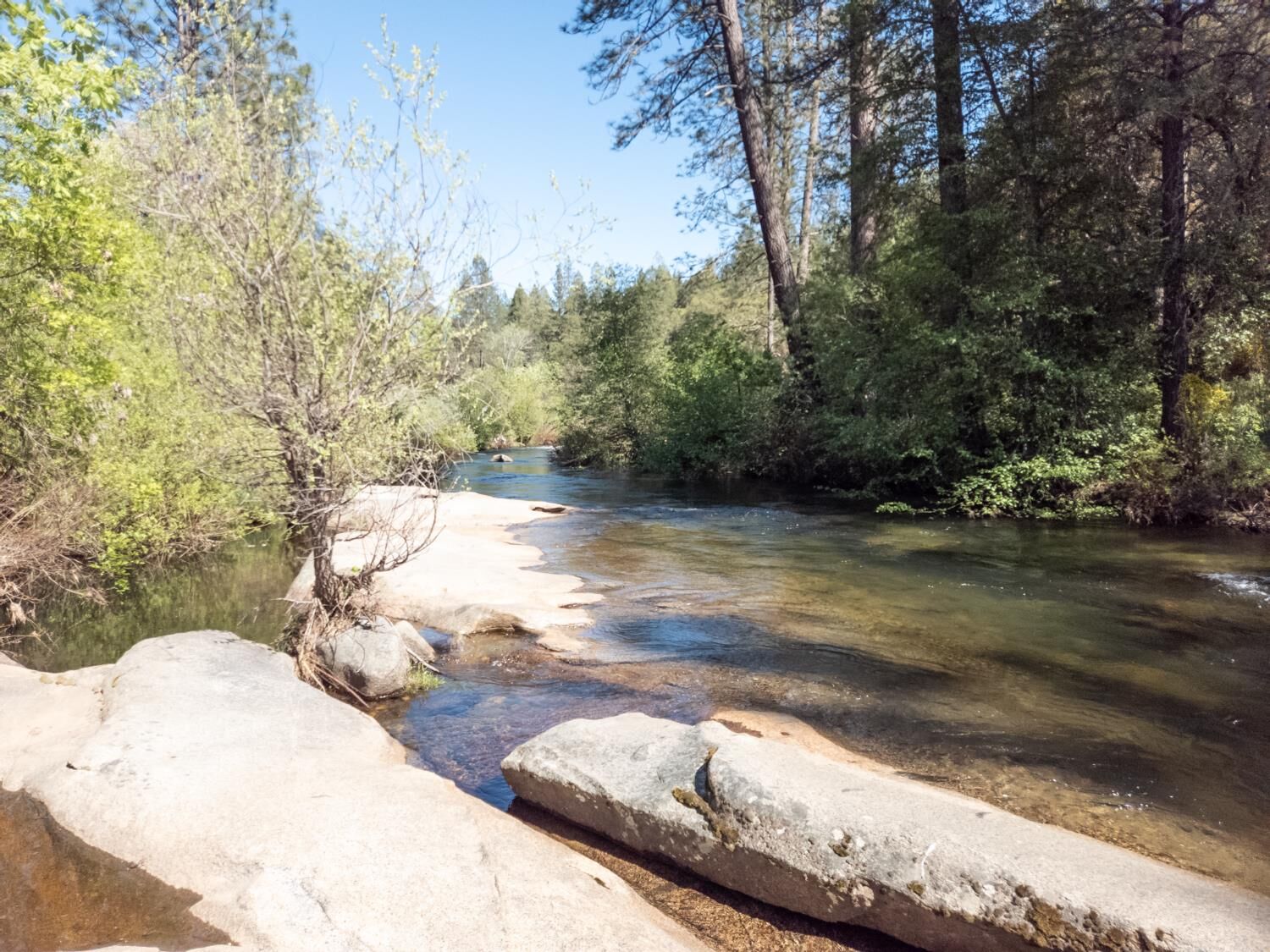 Property Photo:  0 Morning Canyon Road  CA 95667 