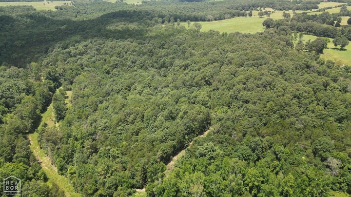 Property Photo:  881 Driftwood Drive  AR 72566 