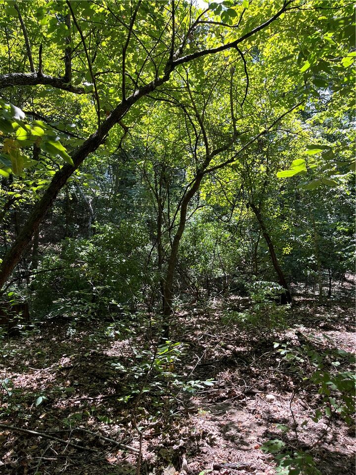 Property Photo:  Lots 23,24,&25 Sycamore Tree Lane  AR 72642 