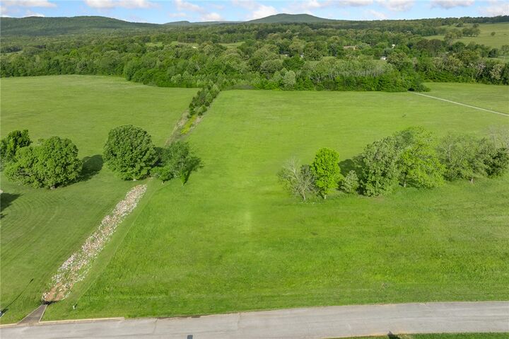 Property Photo:  Lot 25 A & B Savannah Drive  AR 72601 