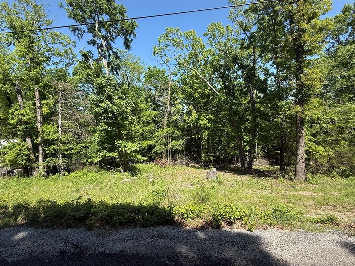 Property Photo:  36 Venus Avenue  AR 72631 