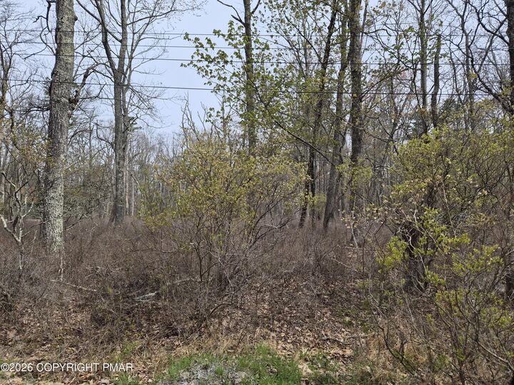 Property Photo:  Lot 20 Big Oak Road  PA 18325 