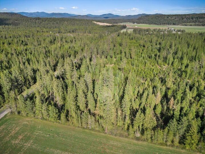 Property Photo:  Xxxx Springdale Hunters Rd  WA 99173 