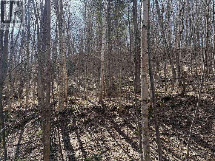 Property Photo:  0 Hamilton Lake Road  ON P0A 1X0 