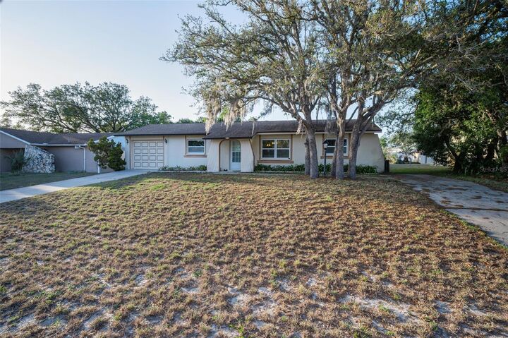 Property Photo:  11031 Heathwood Avenue  FL 34608 