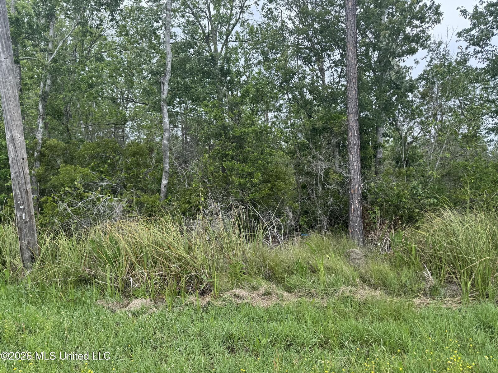 Property Photo:  Nsn Lot 24 Piute Drive  MS 39556 