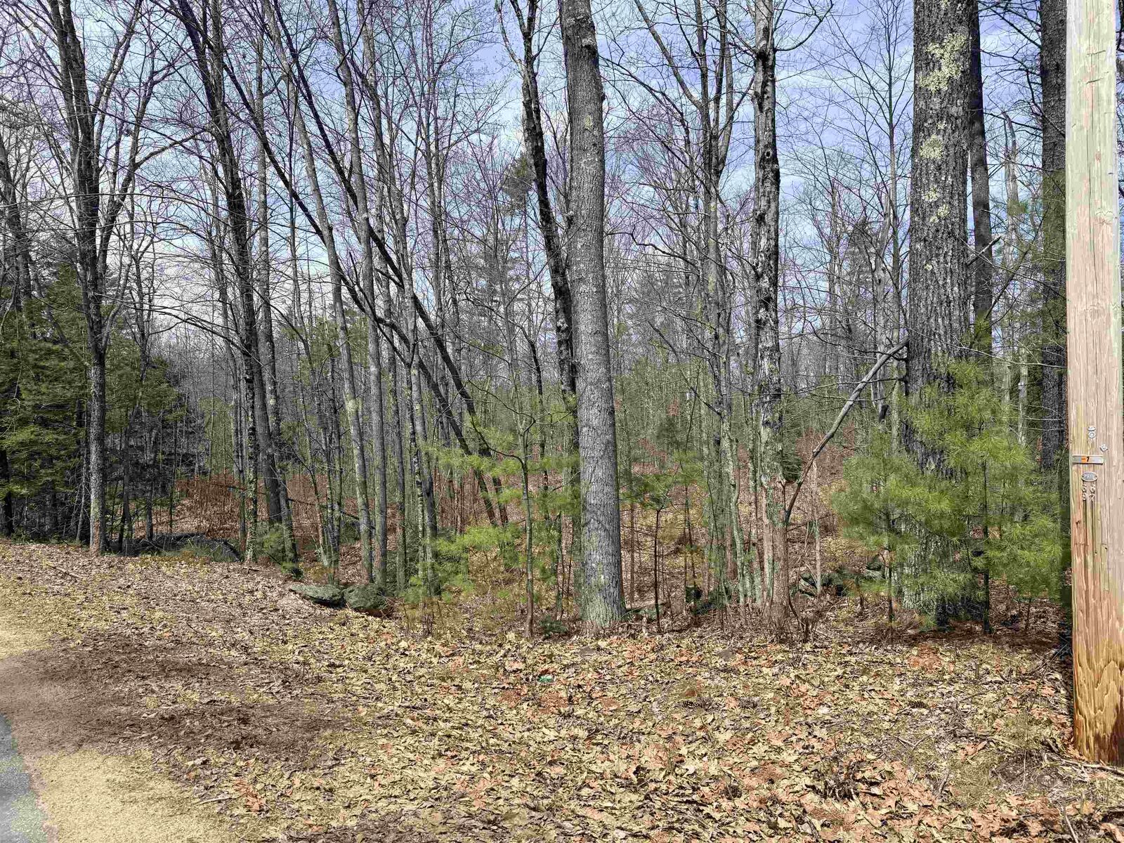 Property Photo:  Map 208 Lot 8 Baptist Hill Road  NH 03224 