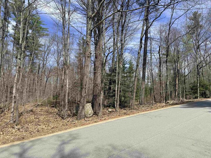 Property Photo:  Map 208 Lot 8-1 Baptist Hill Road  NH 03224 