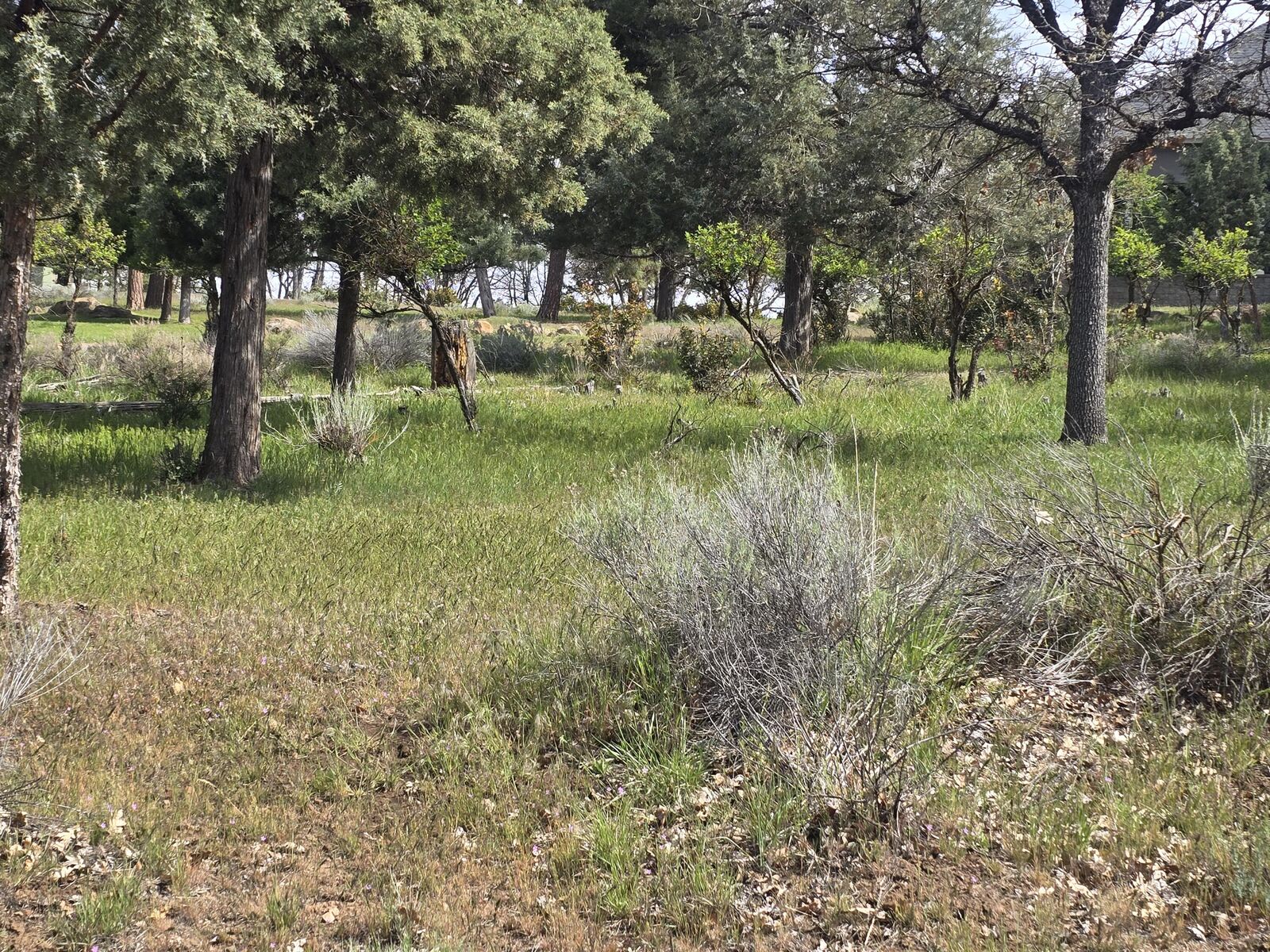 Property Photo:  Kestrel Road 12  OR 97601 