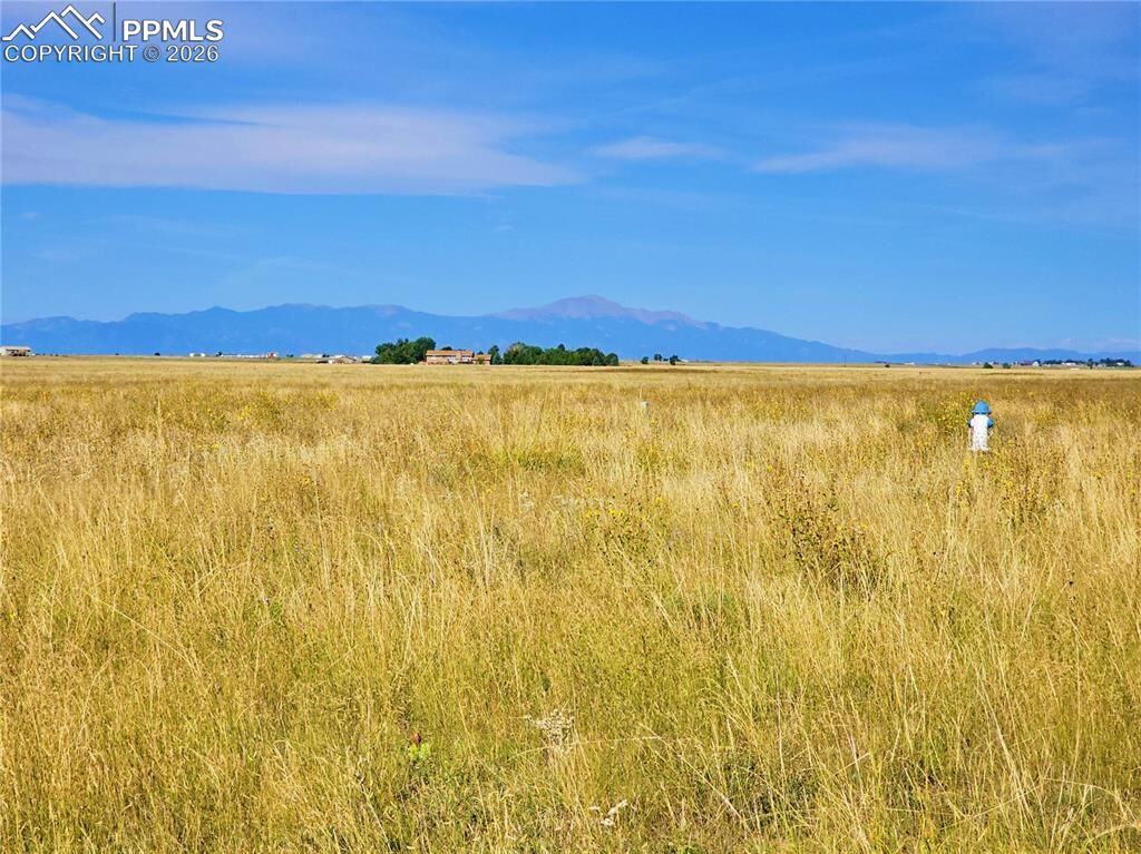 Property Photo: 23712 Redtail Drive CO 80928