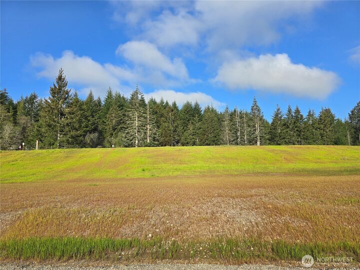 Property Photo:  61 E Virgil Drive W  WA 98524 