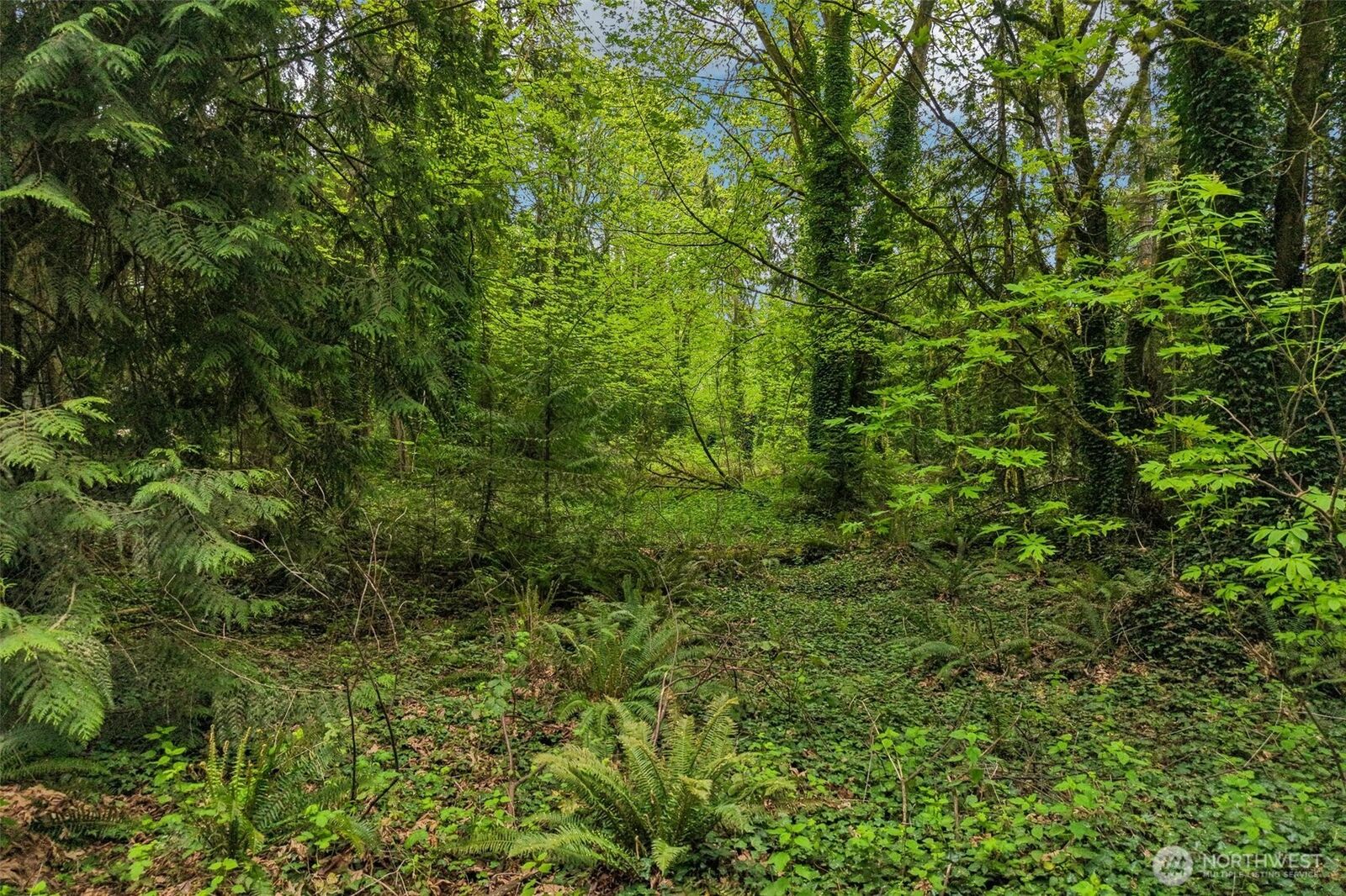 Property Photo:  0 Xx  Haven Place  WA 98282 