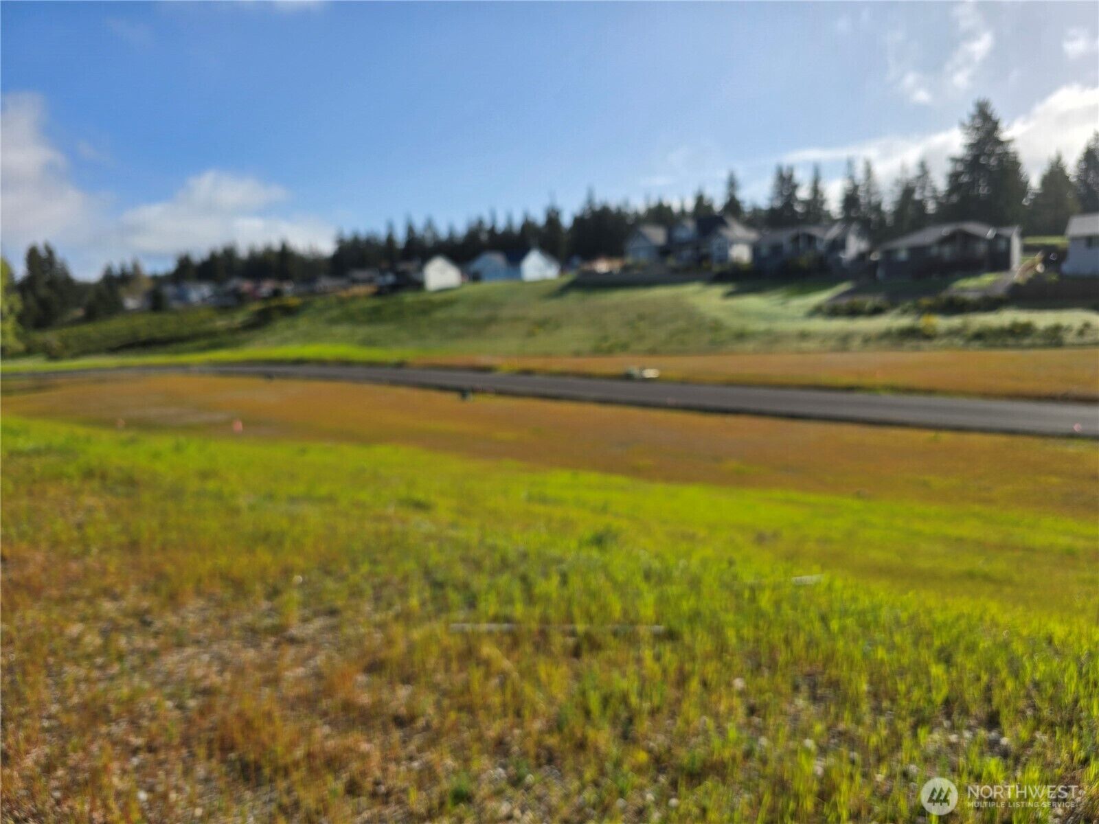 Property Photo:  111 E Donbob Lane  WA 98524 