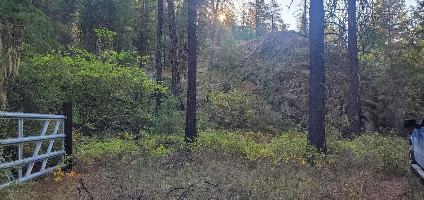 Property Photo:  3733-Xx Sand Creek Rd  WA 99141 