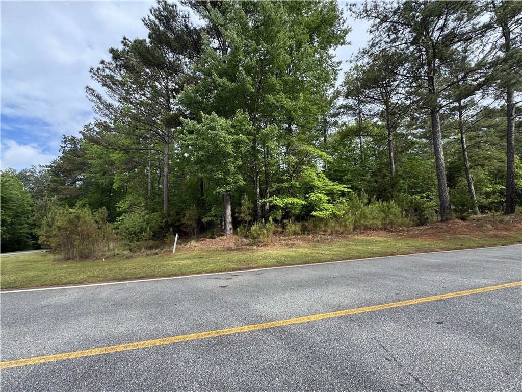Property Photo:  Lot 16 Cliffs Vista Parkway  SC 29682 