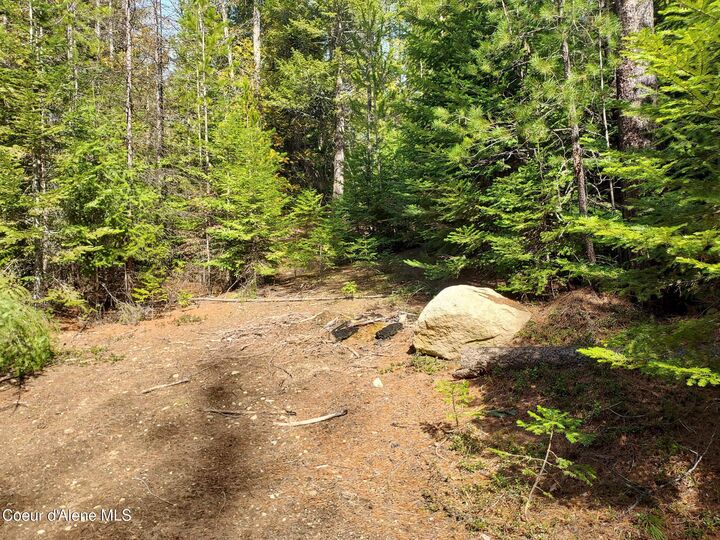 Property Photo:  Nka N Whittum Rd  ID 83856 