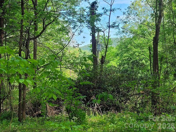 Property Photo:  00 Fox Run  NC 28785 