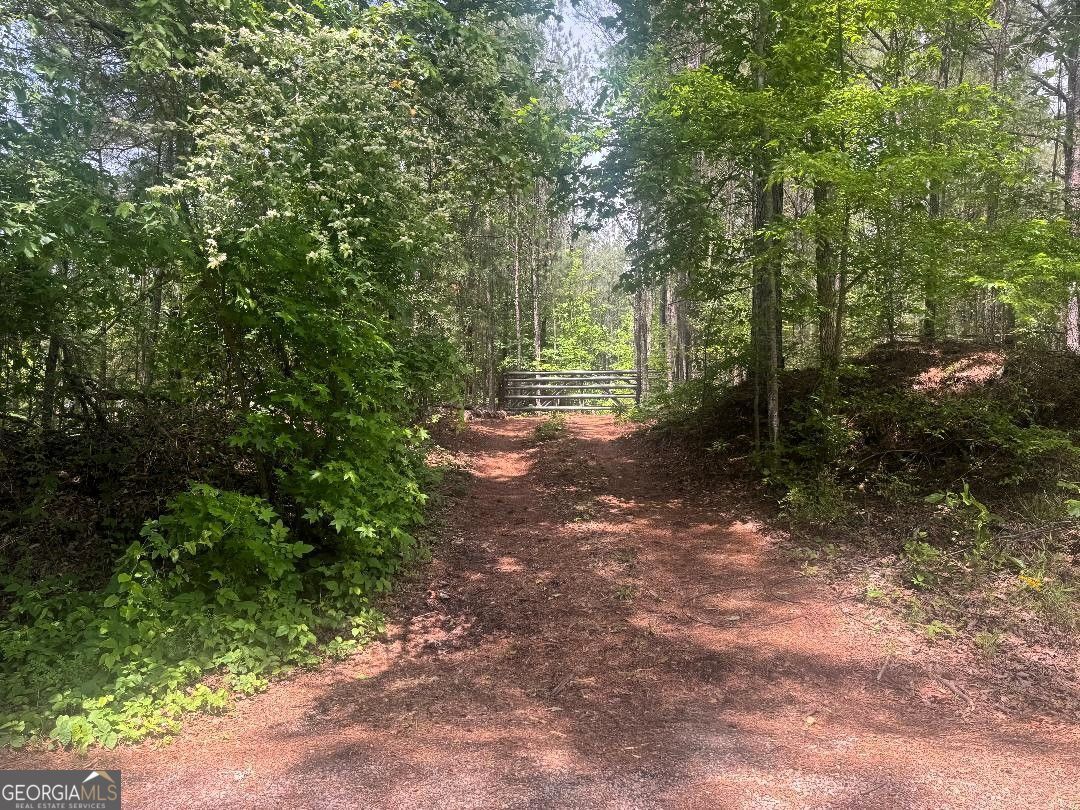 Property Photo:  0 Butler Bridge Road  GA 30252 
