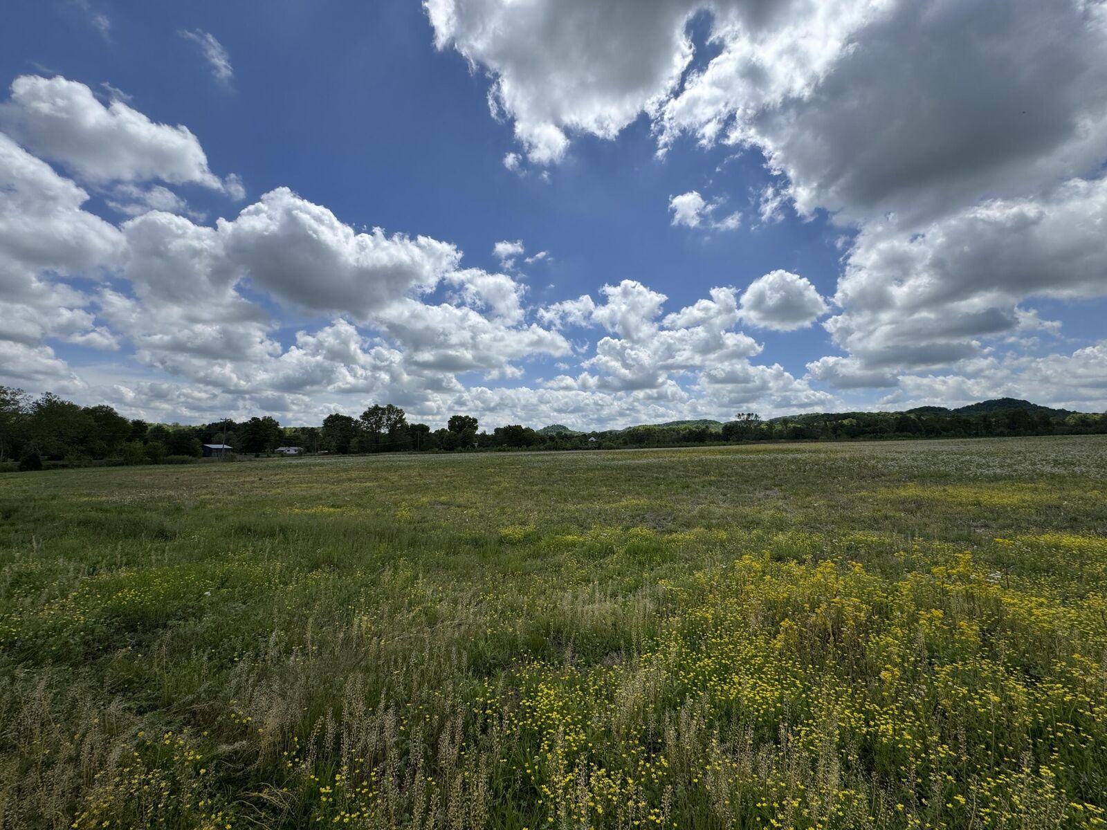 Property Photo:  1064 Kentucky 39  KY 40419 