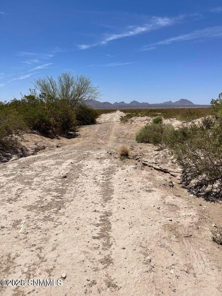 Property Photo:  9357 Rabbit Run Road  NM 88012 