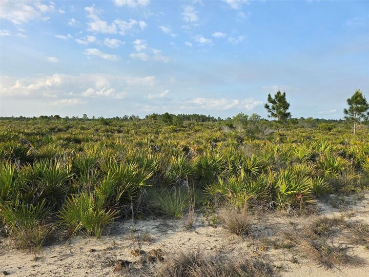 Property Photo:  49173 Bermont Road  FL 33982 