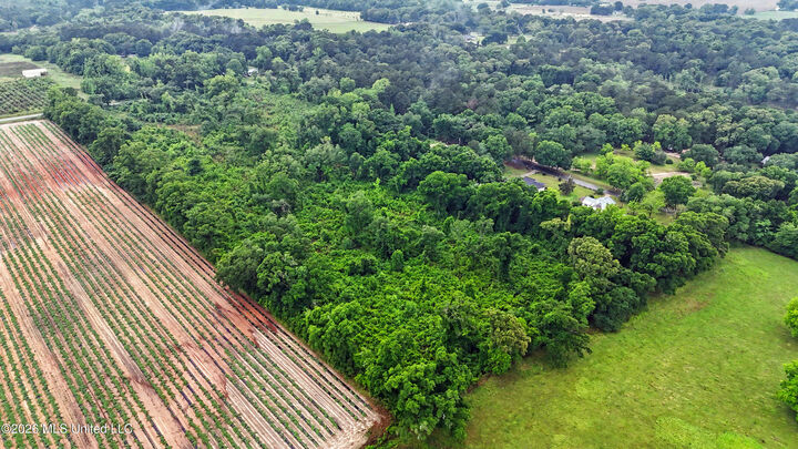 Property Photo:  Basin School Road  MS 39452 