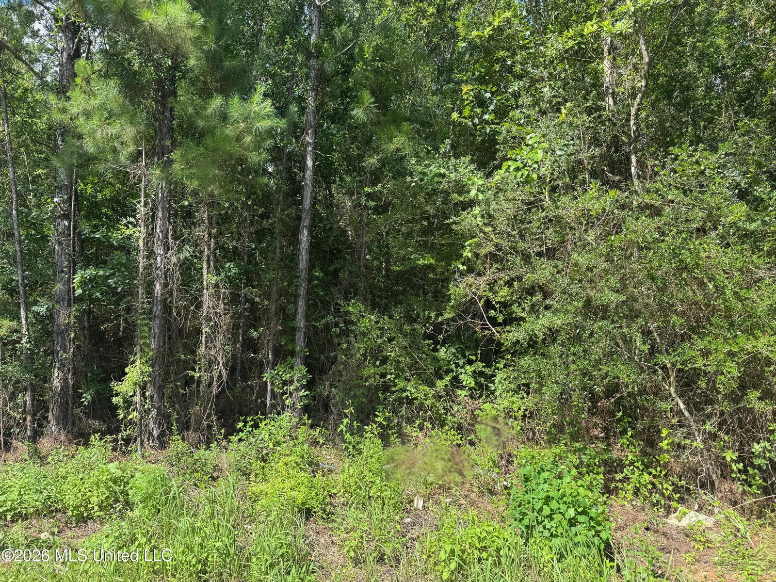 Property Photo: 0 Schrader Court MS 39574