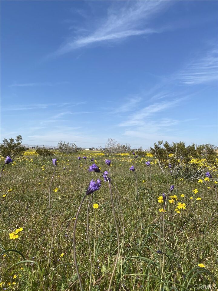 Property Photo:  0 Vacant Land  CA 93501 
