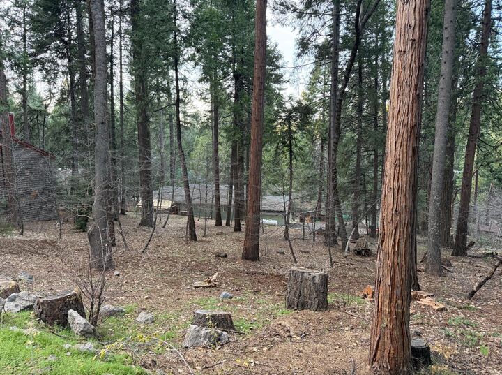 Property Photo:  6771 Onyx Trail  CA 95726 