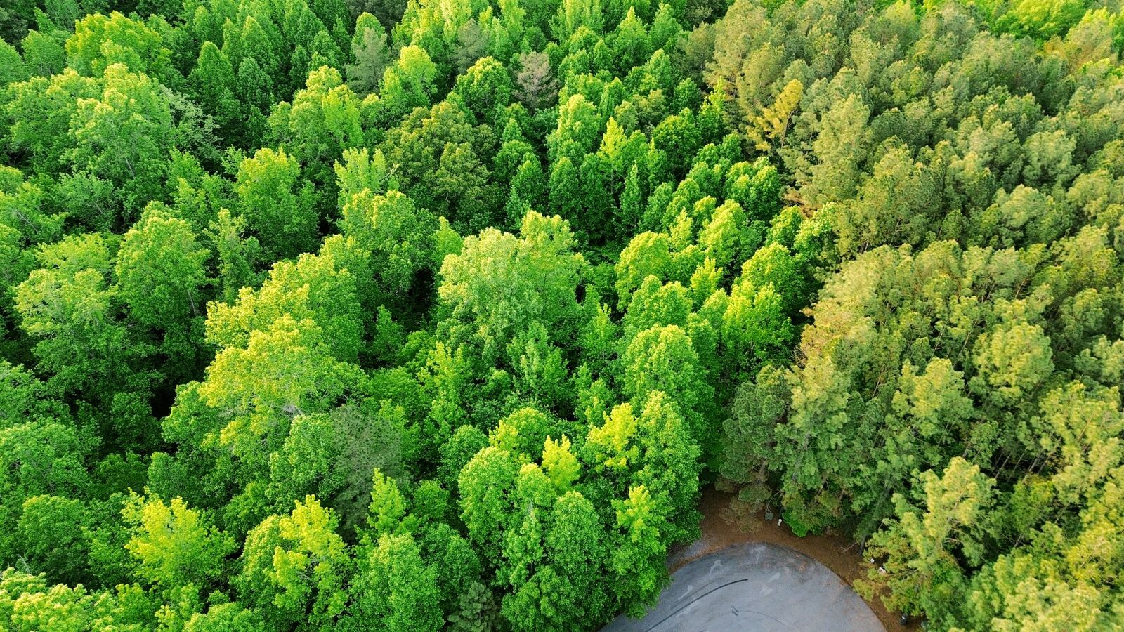Property Photo:  0 Allen Bend Rd  TN 37166 