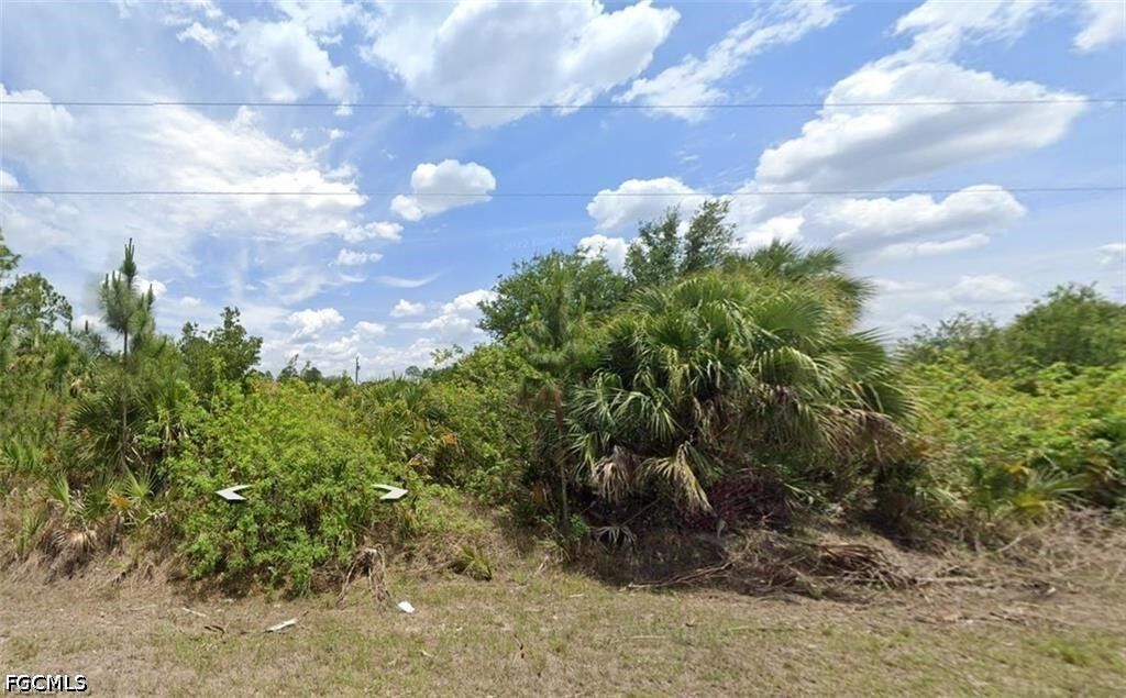Property Photo:  1018 Michael Avenue  FL 33936 