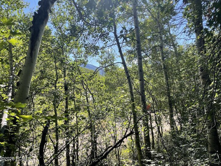 Property Photo:  10337 N River Road 123  UT 84055 