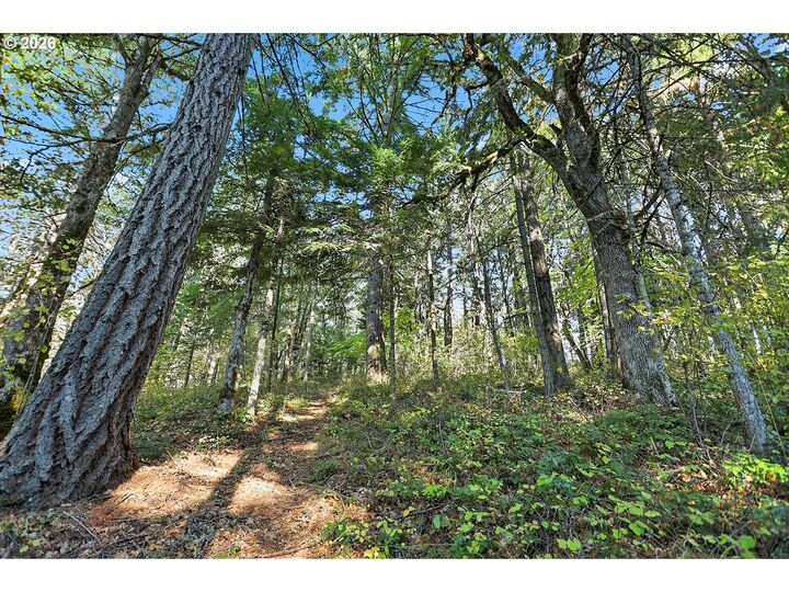 Property Photo: Echo Glen Rd WA 98672