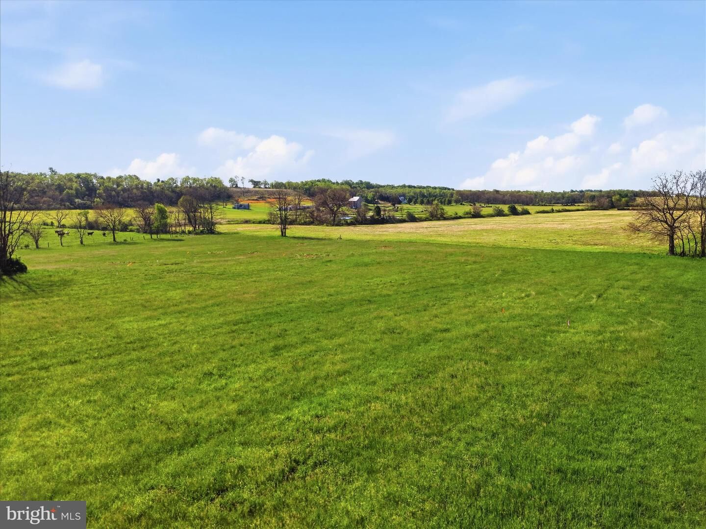 Property Photo: Tbd Golds Hill Road VA 22603