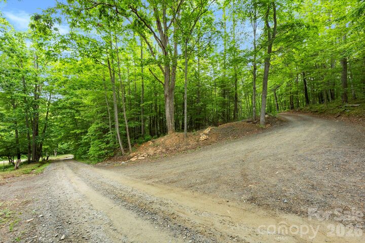 Property Photo:  108 High Top Mountain Road A &Amp B  NC 28748 