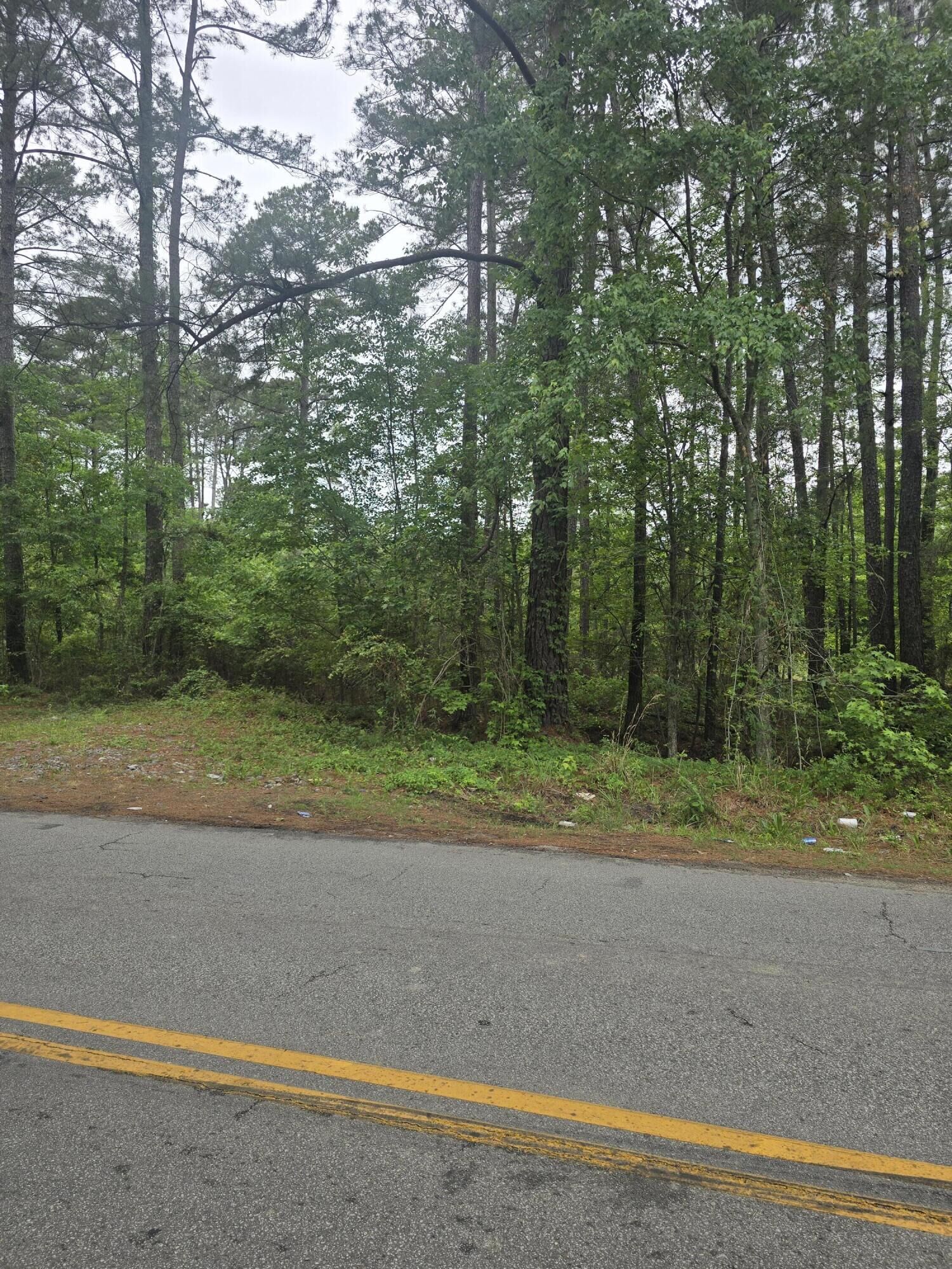 Property Photo:  0 Pete Ewers Drive  SC 29483 