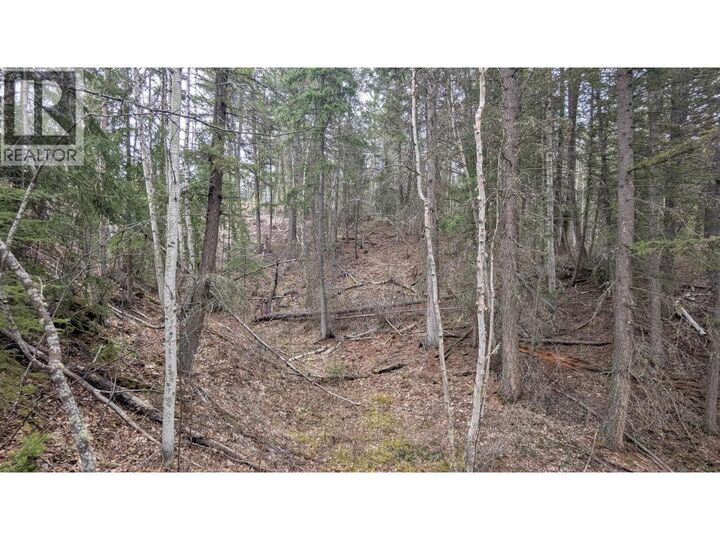 Property Photo:  Lot 12 Summit Road  BC V0K 1J0 
