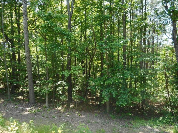 Property Photo:  0 Holly Lynn Court  GA 30115 