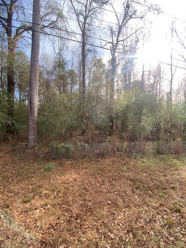 Property Photo: Lot 81 Woodland Drive GA 31804