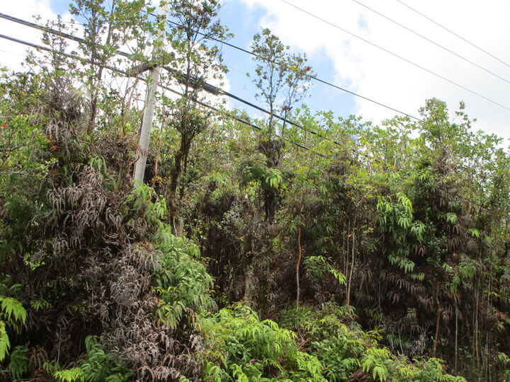 Property Photo:  Palainui Ave  HI 96771 