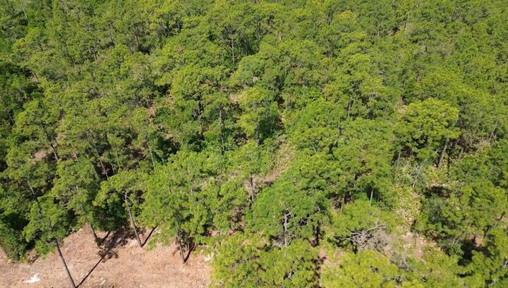 Property Photo:  S Apopka Vineland Road  FL 32821 
