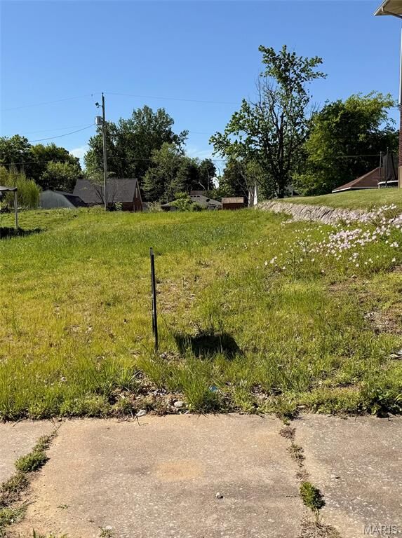Property Photo:  1221 Cousin Street  MO 63701 