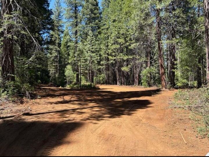 Property Photo:  30205 N Bloomfield-Graniteville Road  CA 95959 