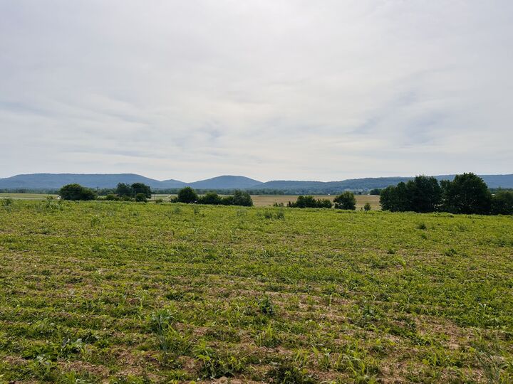 Property Photo: 235 Breezy Knoll Ln TN 37357