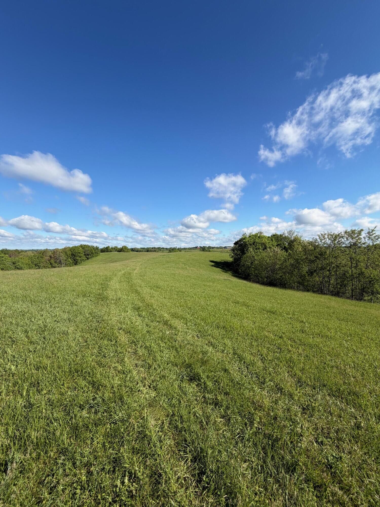 Property Photo:  32.28 Ac Chipman Ridge Road  KY 41097 
