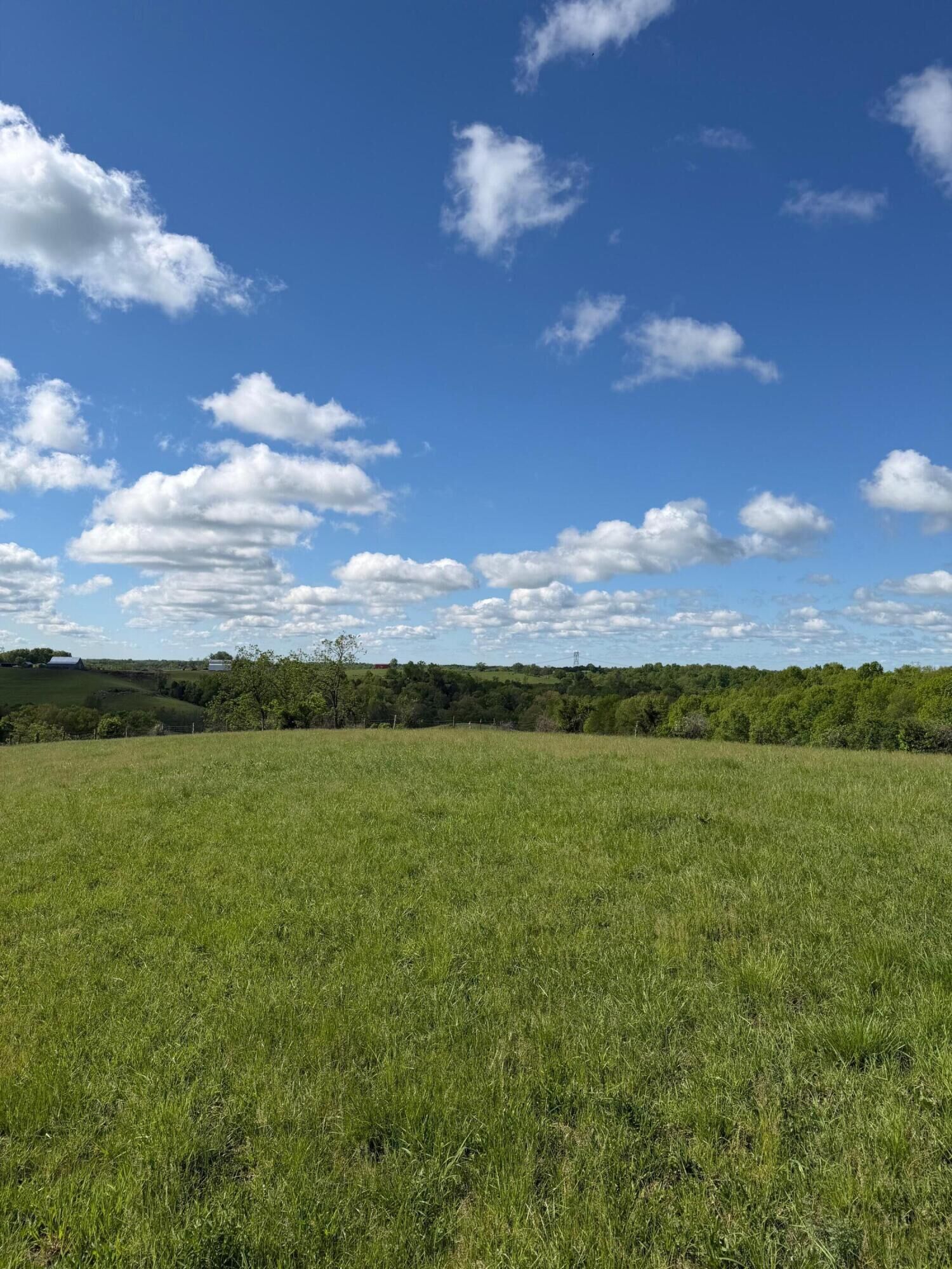 Property Photo:  6.93 Ac Chipman Ridge Road  KY 41097 