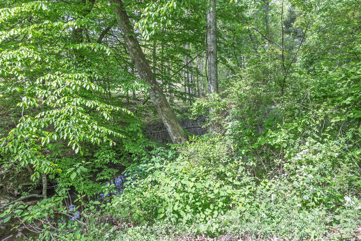 Property Photo:  000 Summers Home Lane  TN 37321 